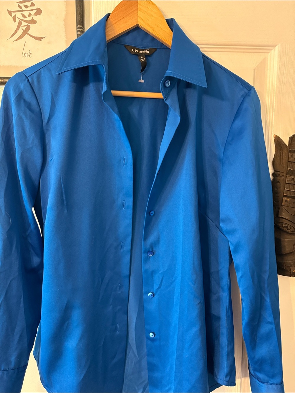 J. Peterman Vibrant Blue Long-Sleeve Button-Down Shirt